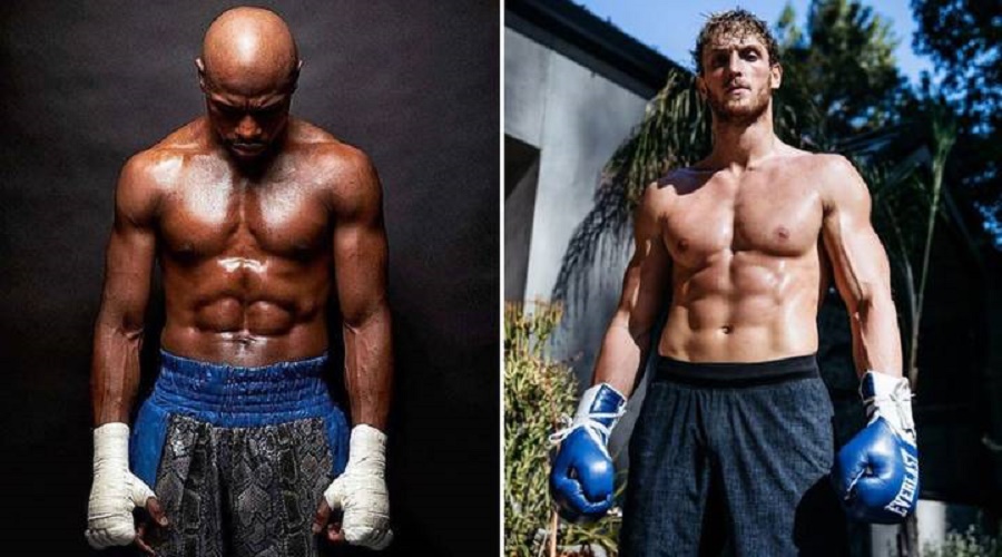 Floyd Mayweather và Logan Paul có thể sẽ gặp nhau trên sàn đấu?