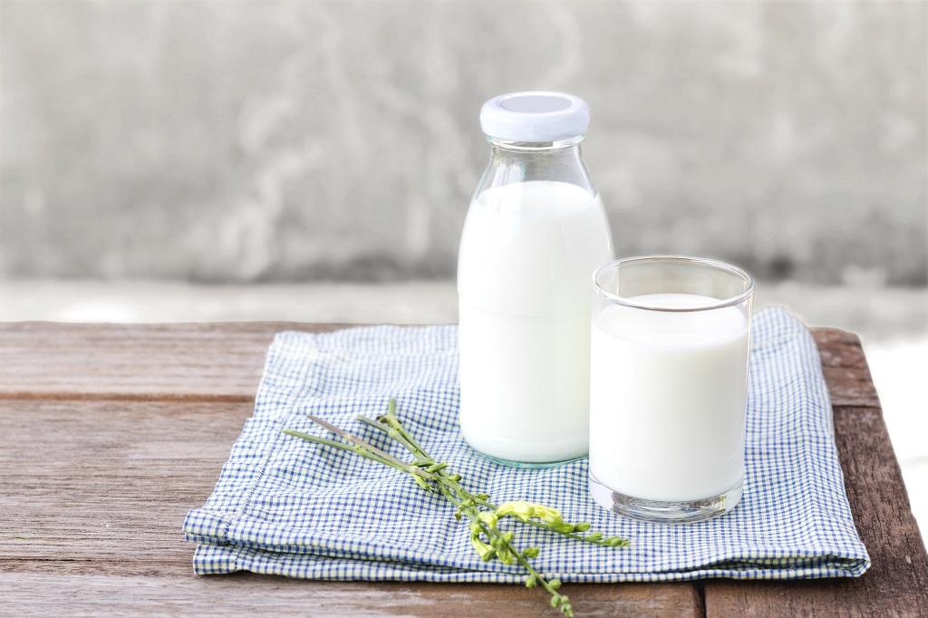 Whey Protein được chiết tách từ sữa