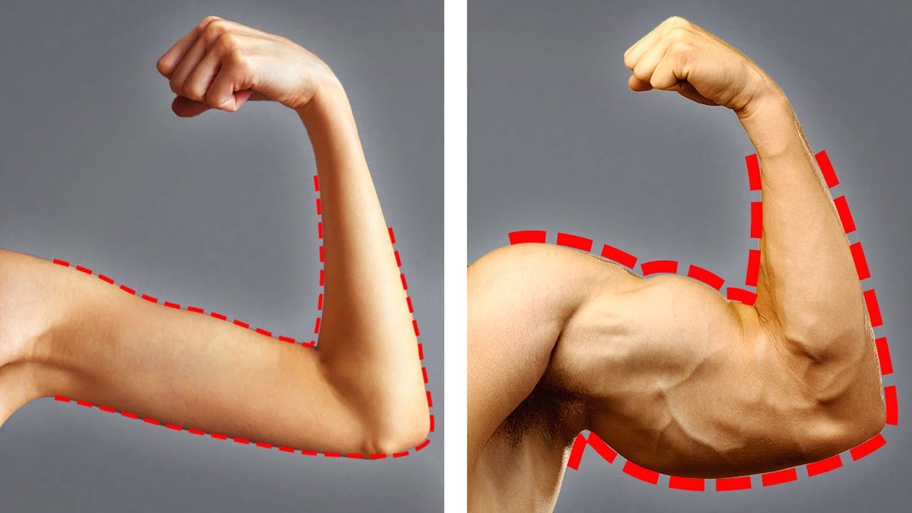 Người tập gym thường có hai nhu cầu chính là tăng cân hoặc tăng cơ