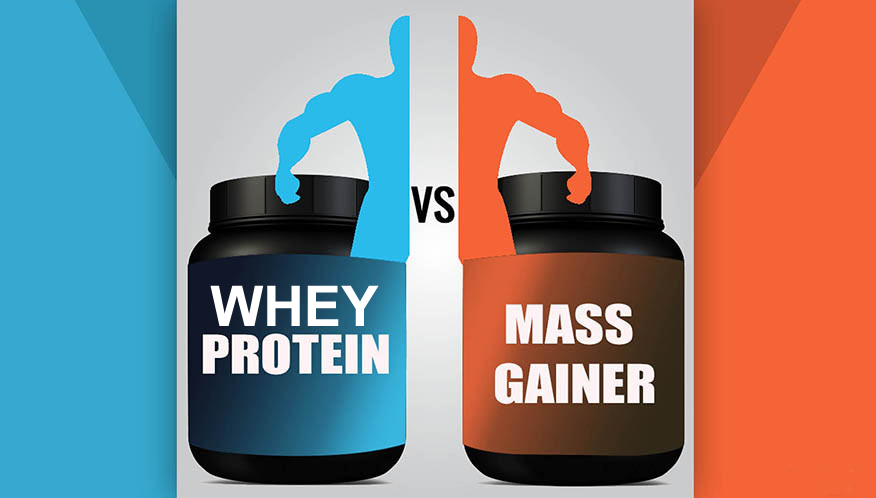 Sữa tăng cân và whey protein có thành phần và lượng calo rất khác nhau