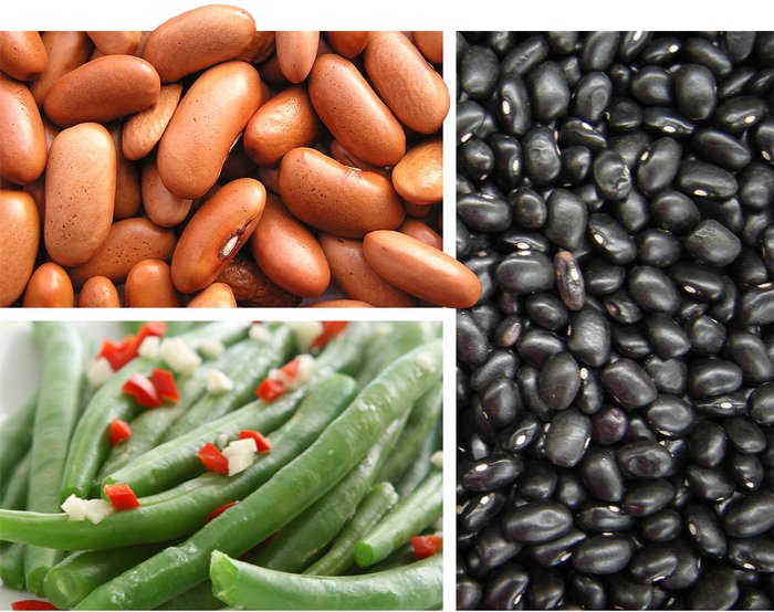 Vitamin B rất giàu trong các loại đậu giúp chuyển hóa thực phẩm thành năng lượng nhanh hơn