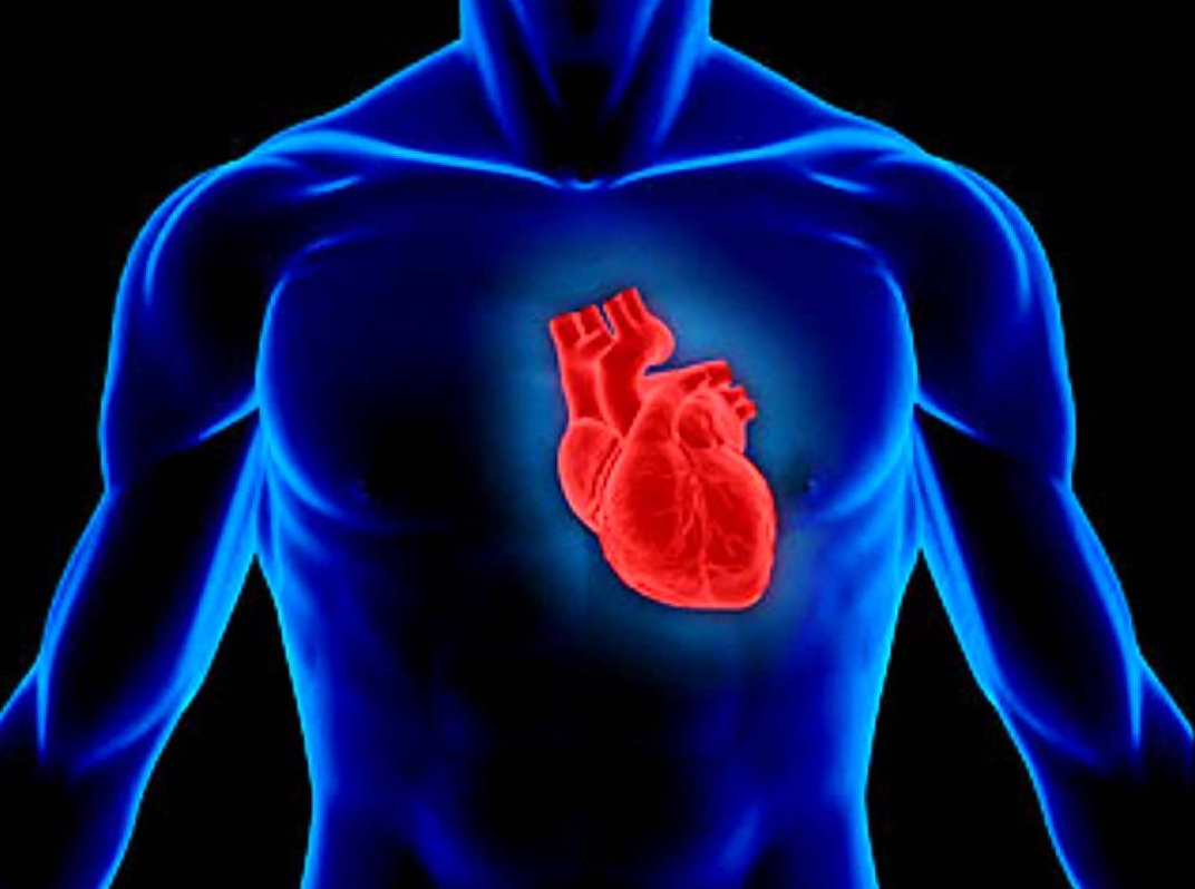 Uống nhiều bia rượu có thể ảnh hưởng tới tim
