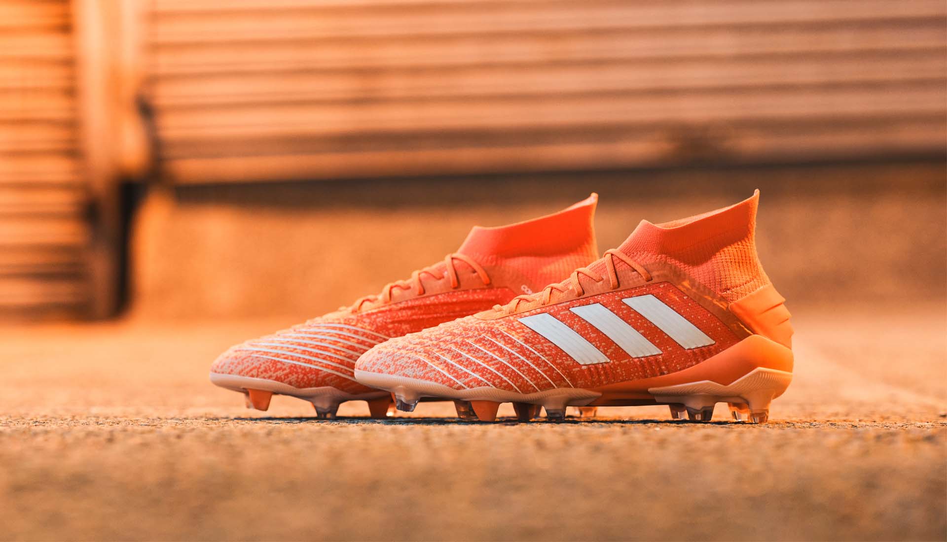 Adidas Predator 19.1 phiên bản nữ
