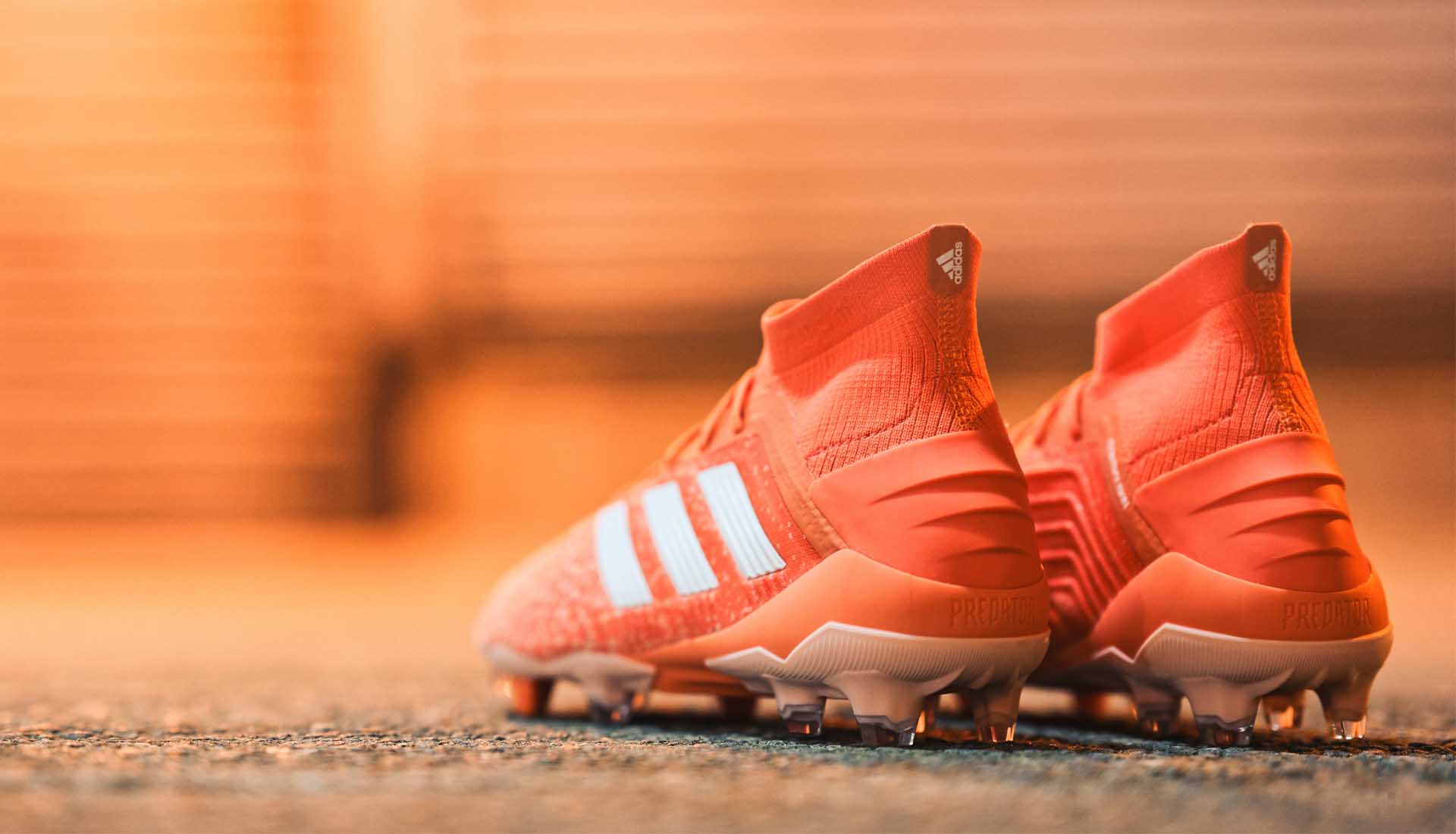 Adidas Predator 19.1 phiên bản nữ