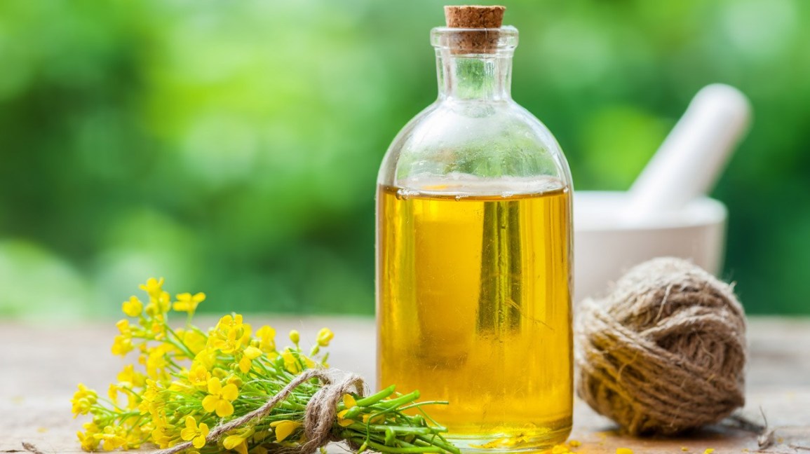 Dầu hạt cải là một loại chất béo không có lợi.