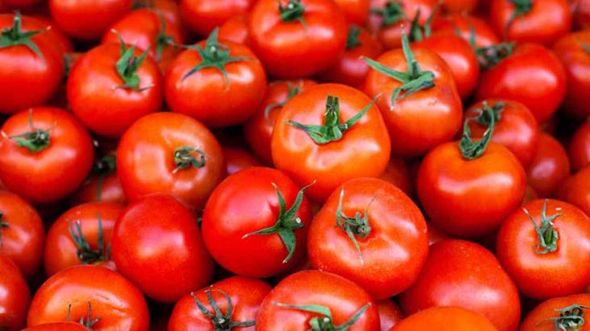 Lycopene trong cà chua giảm tác động của tia UV trong ánh mặt trời tới da.